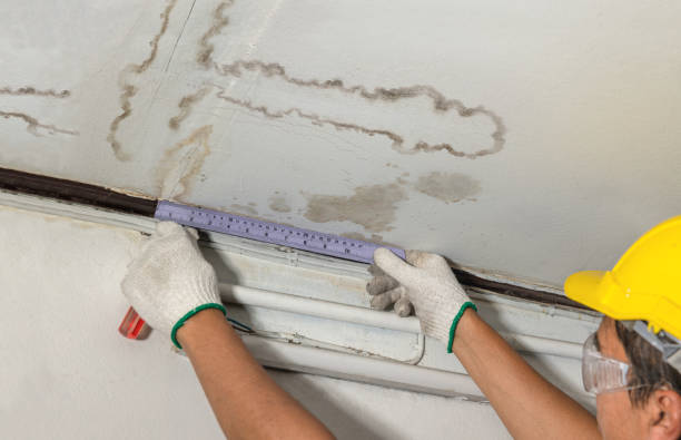 Reliable Water Damage contractor in Rockville, UT by Water Damage Irwin